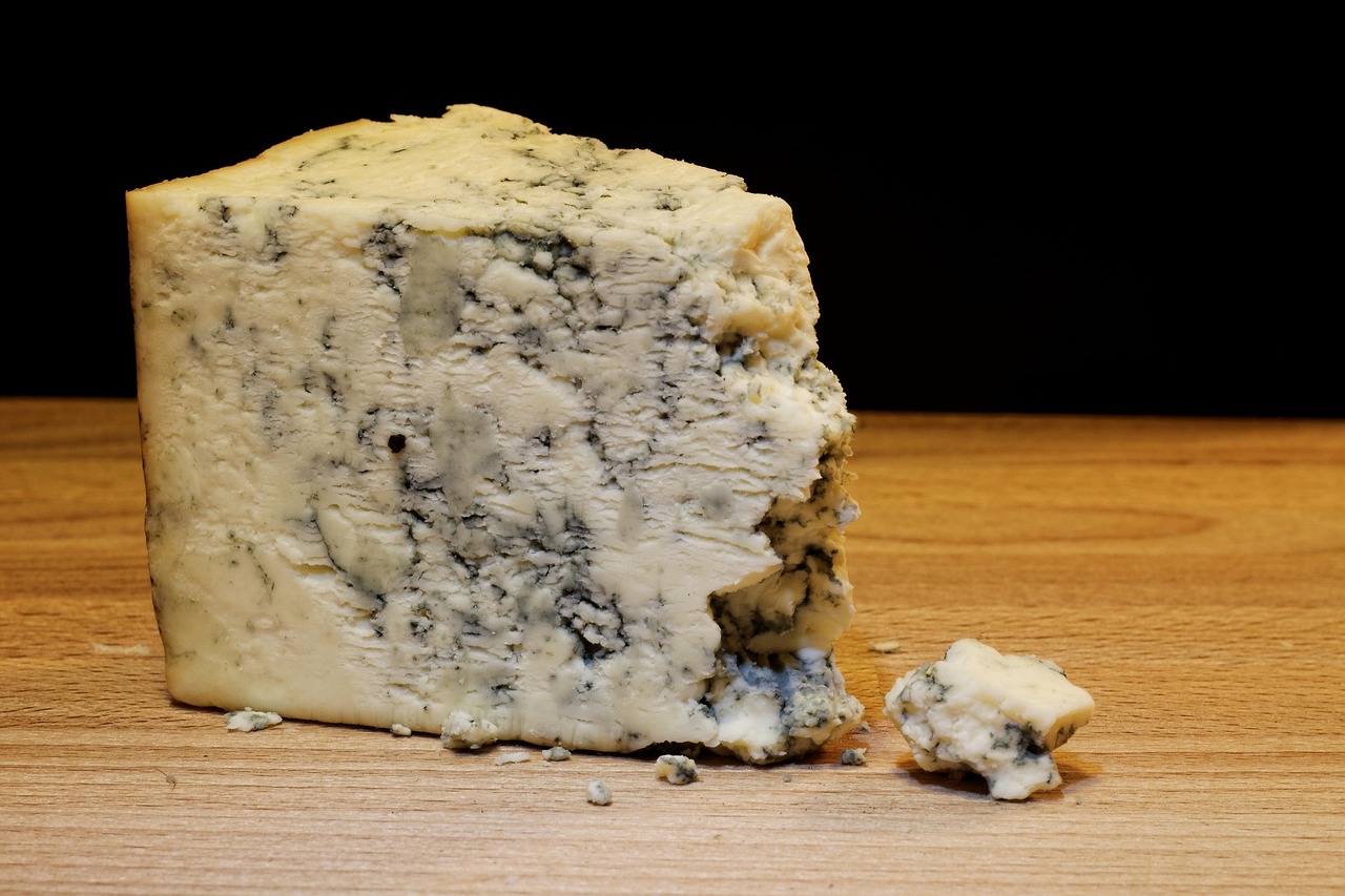 mold cheese, food, dairy, french, gourmet, product, delicious, snack, nutrition, tasty, piece, roquefort, ingredient, table, traditional, fungus, eat, ripe, wedge, cuisine, macro, closeup, brown nutrition, roquefort, roquefort, roquefort, roquefort, roquefort